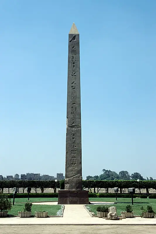 المطرية