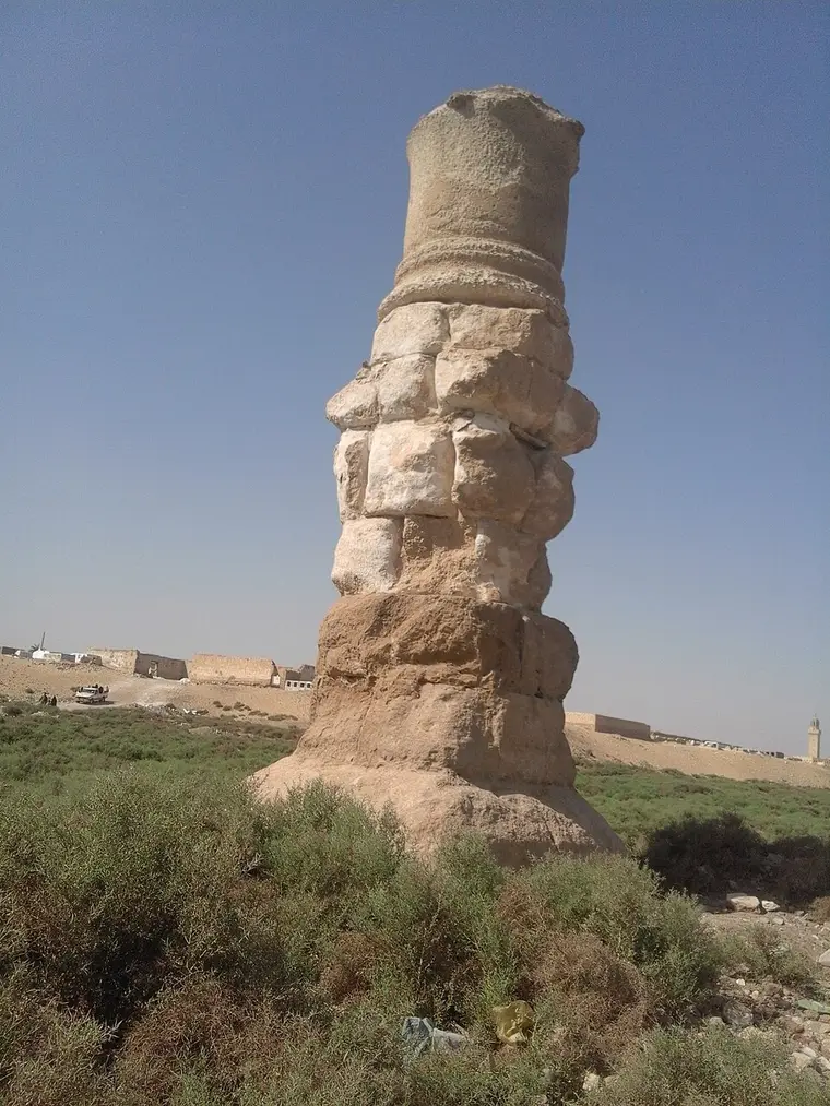 أوكسيرينخوس